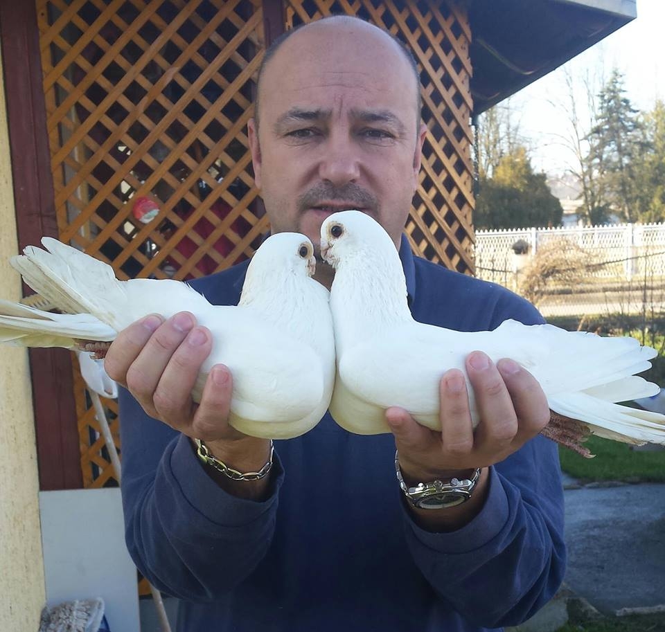 40 GODINA PUTOVANJA KROZ UZGOJ SITNIH ŽIVOTINJA Edin Mujkanović–Pile (FOTO)