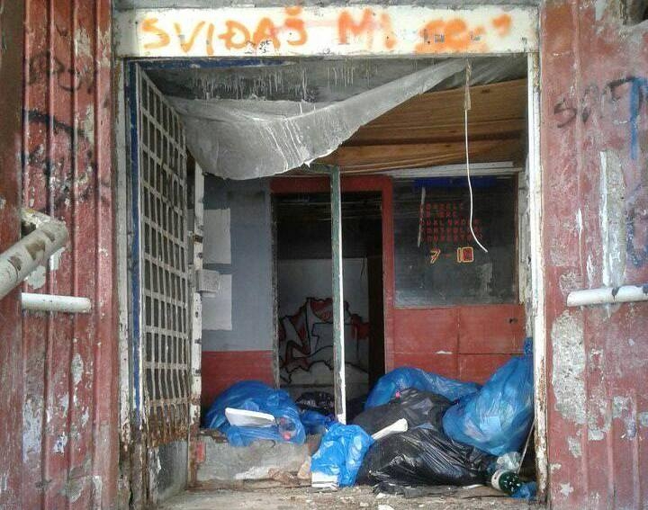 OKOM KAMERE: Prijeti li nam mišja groznica (FOTO)