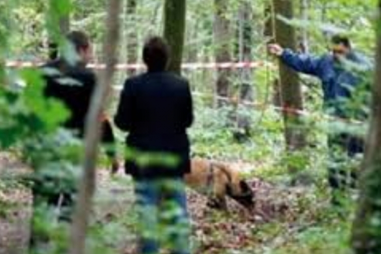 DOBOJ: Tragedija, drvosječa nastradao prilikom sječe šume