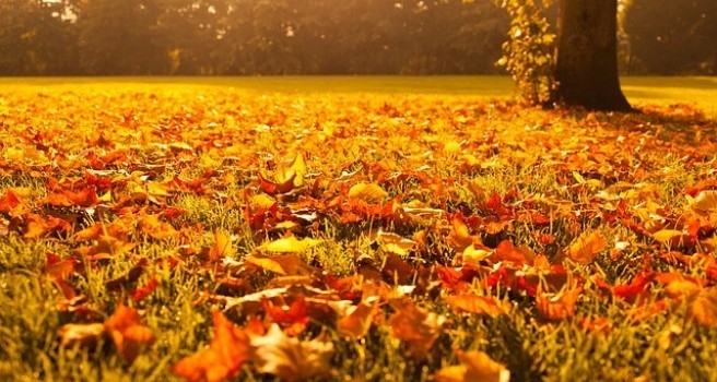 VRIJEME: I sutra sunčano uz prijatnih 18 stepeni