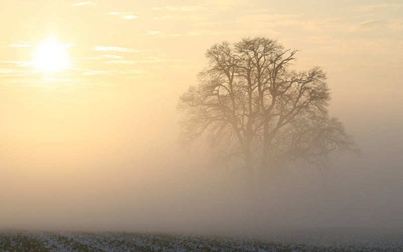 METEOALARM: Žuto upozorenje na maglu zbog smanjene vidljivosti