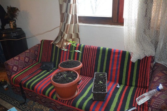 DOBOJ: Pronađena i oduzeta droga i municija