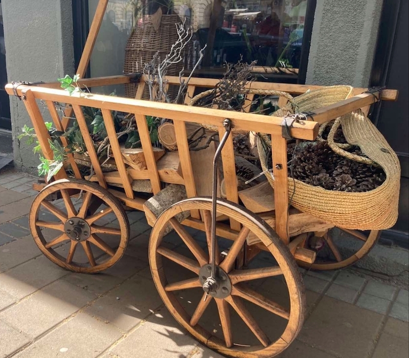 Taljigama u budućnost