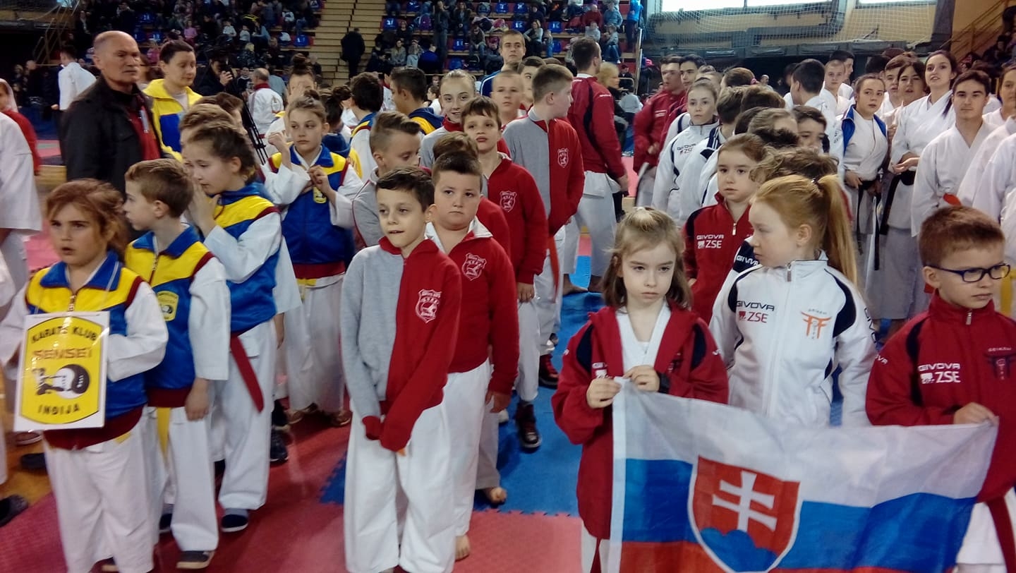 DOBOJ: Karatisti "Vile" na 19. internacionalnom super Enpi kupu (FOTO)