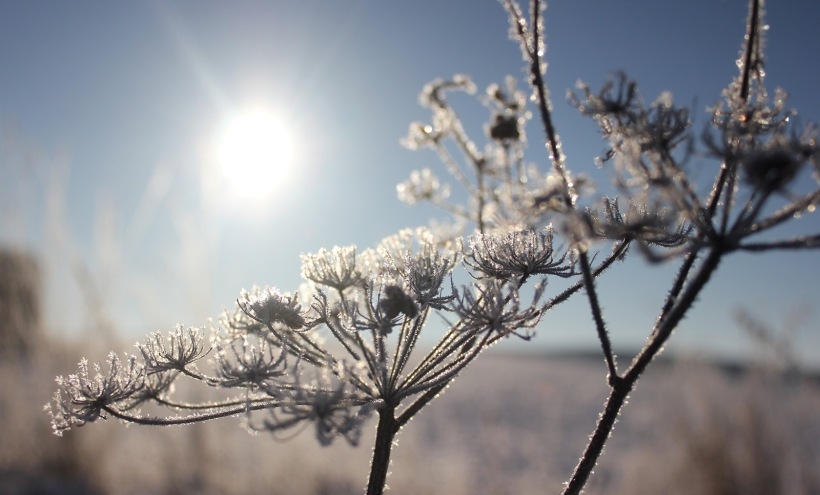 VRIJEME: Danas sunčano, temperatura do tri stepena