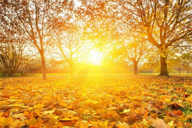 VRIJEME: Sunčano i ugodno, temperatura do 15 stepeni