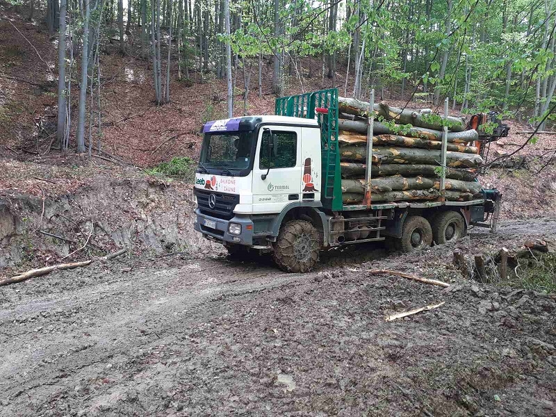 DOBOJ: Šumsko gazdinstvo "Doboj" pred zabranom rada?