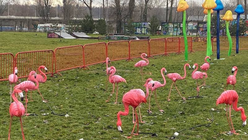 Da li mi ne verujete?