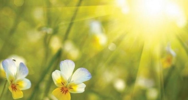 VRIJEME: Danas sunčano i toplije, temperatura do 19 stepeni