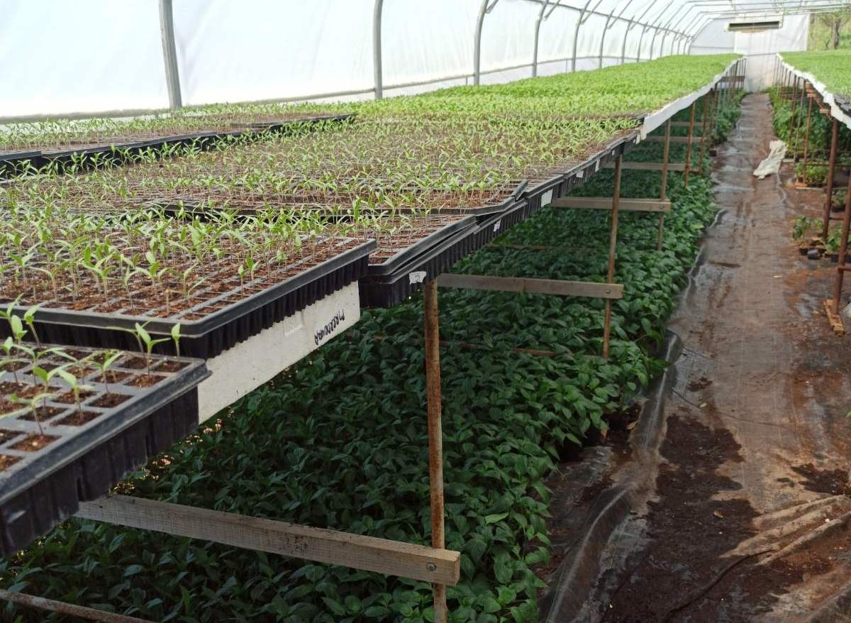 DOBOJ: Rajska bašta Jugina (FOTO)