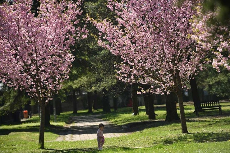VRIJEME: Danas sunčano i toplije, do 29 stepeni celzijusovih
