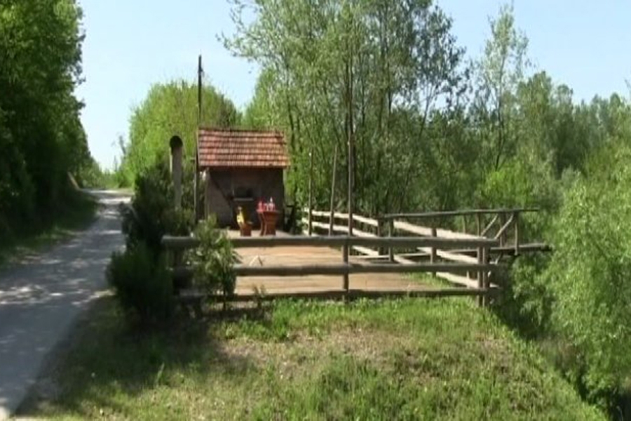 OTKRIVAMO DETALJE UBISTVA U STANARIMA Pejanić uboden u jetru i trbušnu aortu