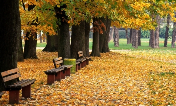 VRIJEME: Oblačno sa kišom i vjetrom, temperatura do 27