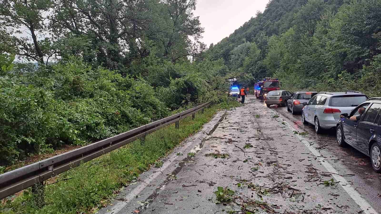 PUTEVI: Vozači oprezno - moguć nailazak na oboreno granje i drveće