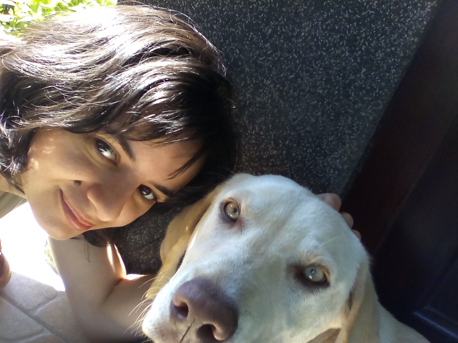 POTRAGA U DOBOJU Nestao pas, vlasnik moli za pomoć