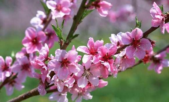 VRIJEME: Nakon sježeg jutra, pretežno sunčano