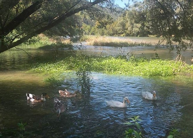 VRIJEME: Sunčano i toplije, mogući kratkotrajni pljuskovi