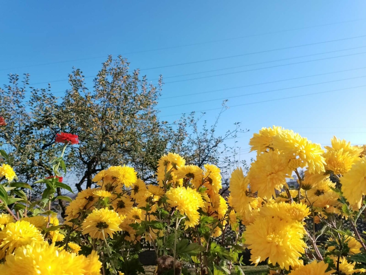 VRIJEME: Pretežno sunčano i toplije, temperatura do 31 stepen