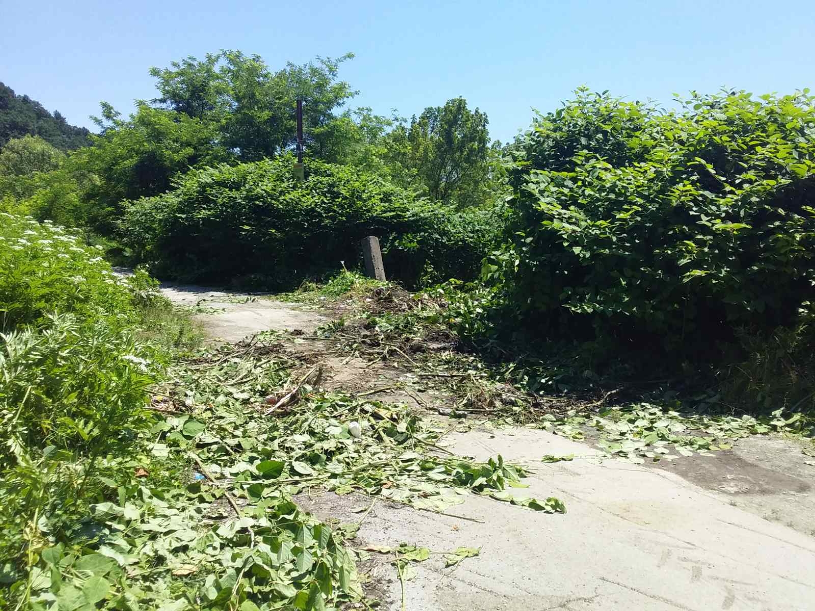 OTKUD AUDI Q7 SA MAKEDONCEM NA KROVU U BOSNI: Riješena misterija (FOTO) (VIDEO)