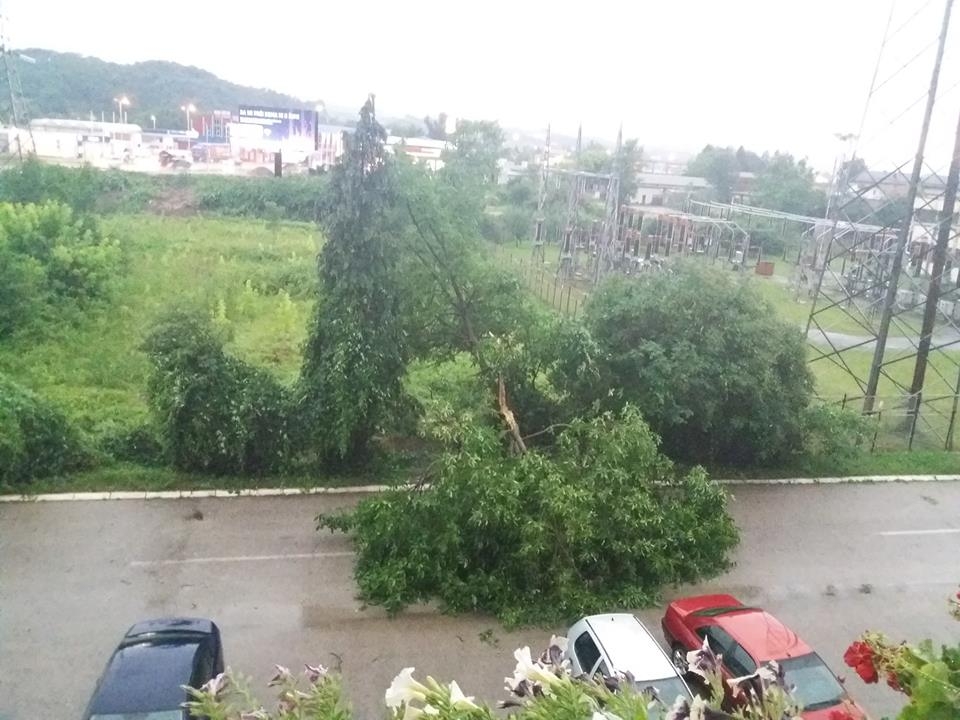 NEVRIJEME POGODILO DOBOJ: Oluja čupala drveće (FOTO)