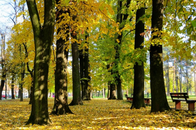 VRIJEME: Sunčano i ugodno toplo