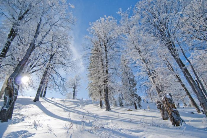 VRIJEME: Pretežno sunčano i toplije