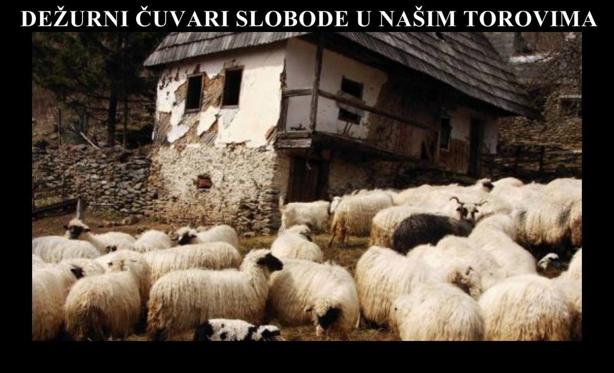 PUČINA JE JEDNA STOKA GRDNA - DRUGI DIO: Dežurni čuvari slobode u našim torovima
