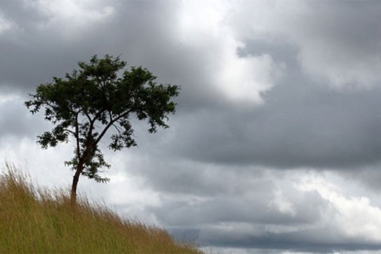 VRIJEME: Oblačno sa kišom, temperatura do 15 stepeni