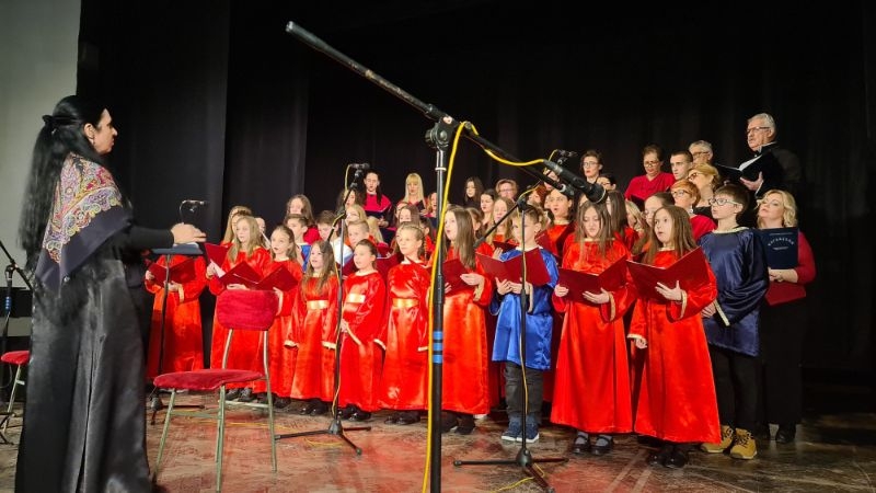 DOBOJ: Prikupljeno 2.400 KM za kupovinu harmonike mladom umjetniku