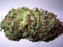 DOBOJ: Oduzeta marihuana od maloljetnog lica