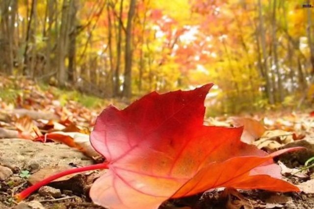 VRIJEME: Danas toplo i promjenljivo oblačno, temperatura do 20 stepeni