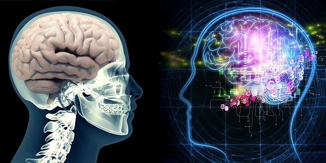 MEGALOPOLIS:  IQ između Hamleta i Keri Bredšou