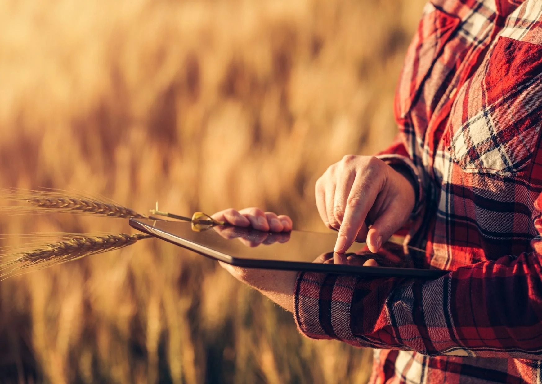 JAVNI POZIV ZA POLJOPRIVREDNO – PREHRAMBENI SEKTOR: Prijavite se za program obuke o pripremi poslovnih planova