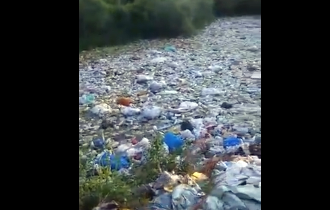 BEZ KOMENTARA: Ovo smo mi, bruka i sramota! (VIDEO)