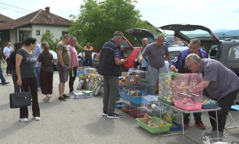 DOBOJ: Društvo za uzgoj i zaštitu sitnih životinja "Dobojski odgajivač" organizuje Berzu sitnih životinja