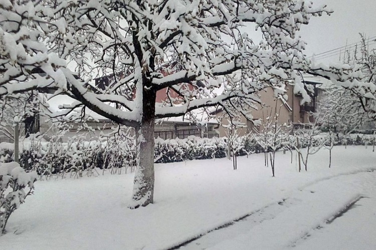 Žuti meteoalarm u BiH zbog hladnoće i snijega