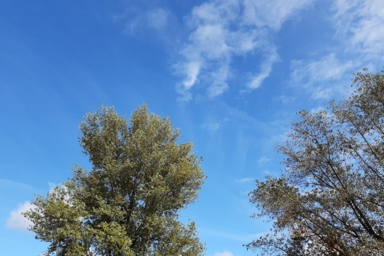 VRIJEME: U BiH do 24 stepena Celzijusa