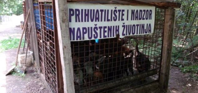 DOBOJ: Za vikend besplatna sterilizacija pasa i mačaka