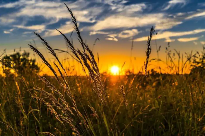 Sunčano i veoma toplo, popodne postepeno naoblačenje i jačanje vjetra